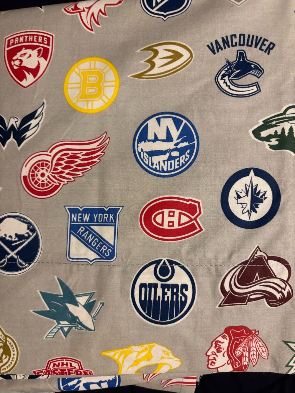 Pottery Barn Teen NHL Logos Cotton Pillowcase - Gray with Multicolor Team Crests